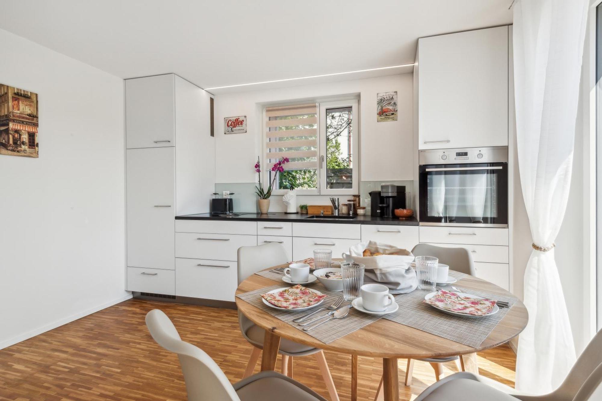 Business I Family Apartment I 1-4 Personen - Aare Blick, Nahe Altstadt I Beamer - 99" Leinwand I Terrassen Lounge Und Parkplatz Brugg  Buitenkant foto