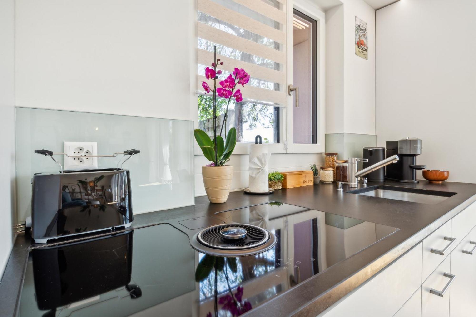 Business I Family Apartment I 1-4 Personen - Aare Blick, Nahe Altstadt I Beamer - 99" Leinwand I Terrassen Lounge Und Parkplatz Brugg  Buitenkant foto